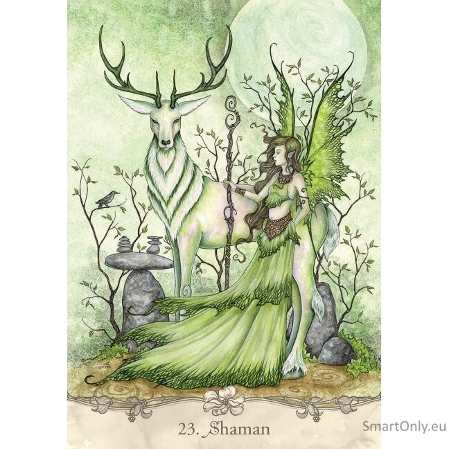Fairy Wisdom Oracle kortos ir knyga US Games Systems 5