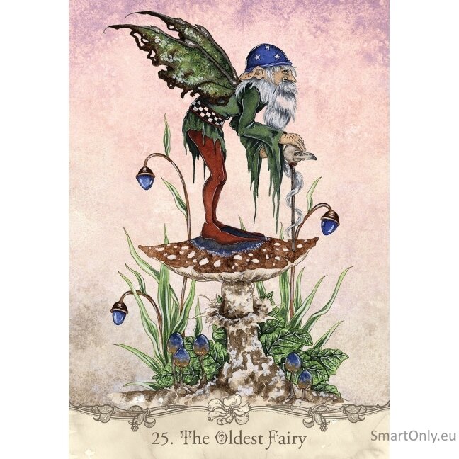 Fairy Wisdom Oracle kortos ir knyga US Games Systems 6