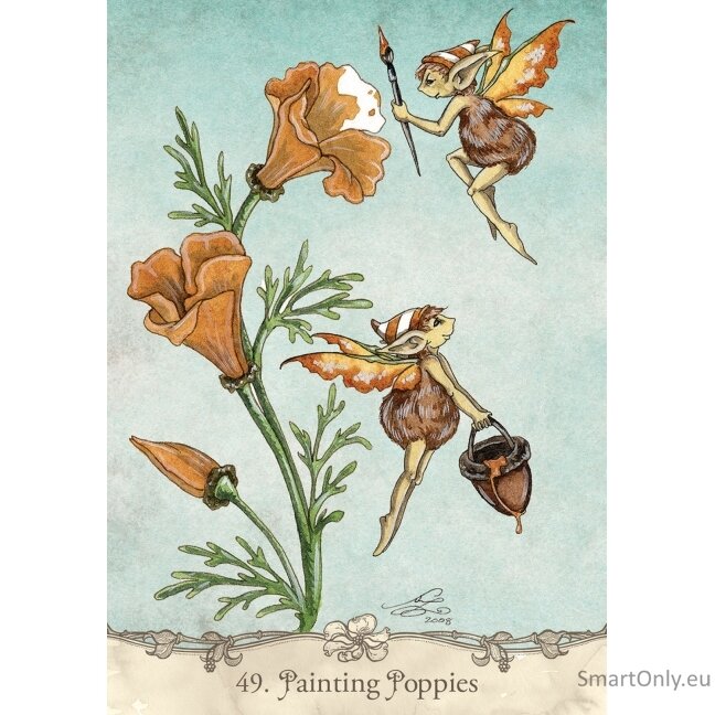 Fairy Wisdom Oracle kortos ir knyga US Games Systems 8