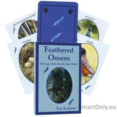feathered-omens-spiritual-kortos-dragonhawk-publishing