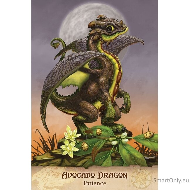 Field Guide To garden Dragons Taro kortos US Games Systems 2 Field Guide To garden Dragons Taro kortos US Games Systems 2
