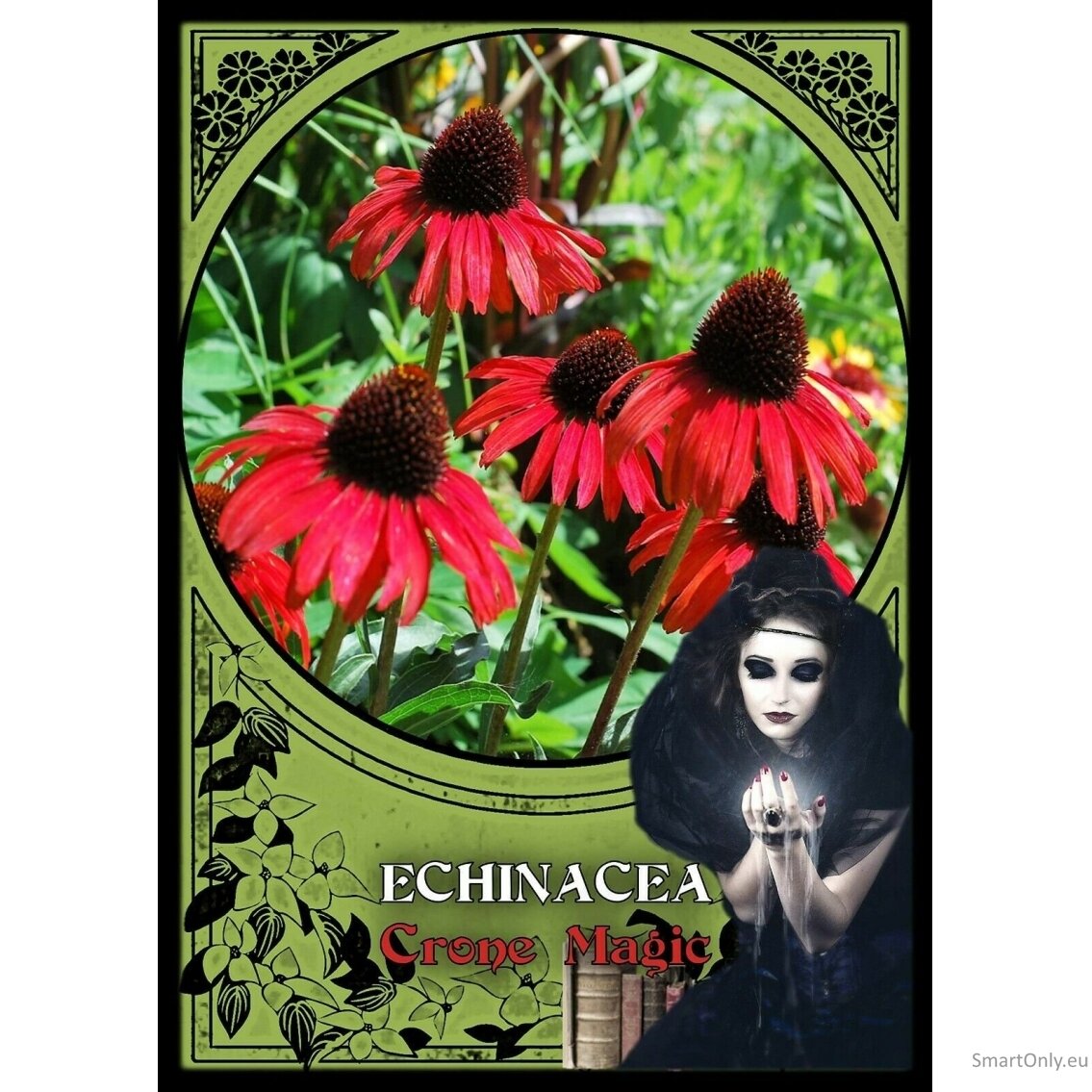 Flower Magic Oracle Kortos Solarus 2 Flower Magic Oracle Kortos Solarus 2