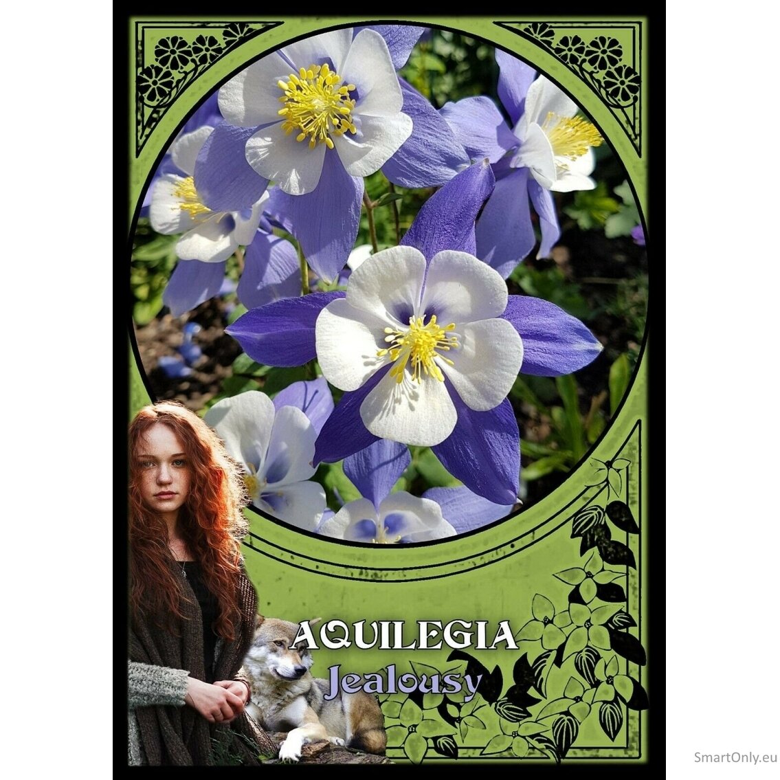 Flower Magic Oracle Kortos Solarus 3 Flower Magic Oracle Kortos Solarus 3