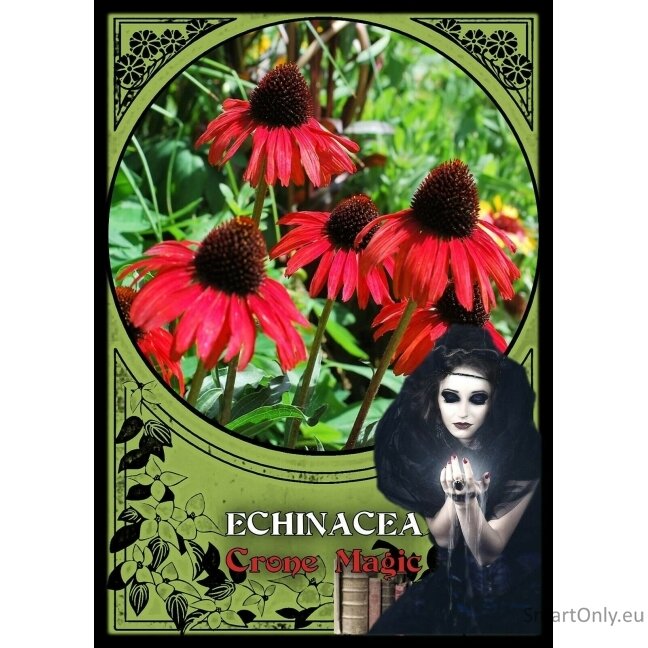 Flower Magic Oracle Kortos Solarus 2
