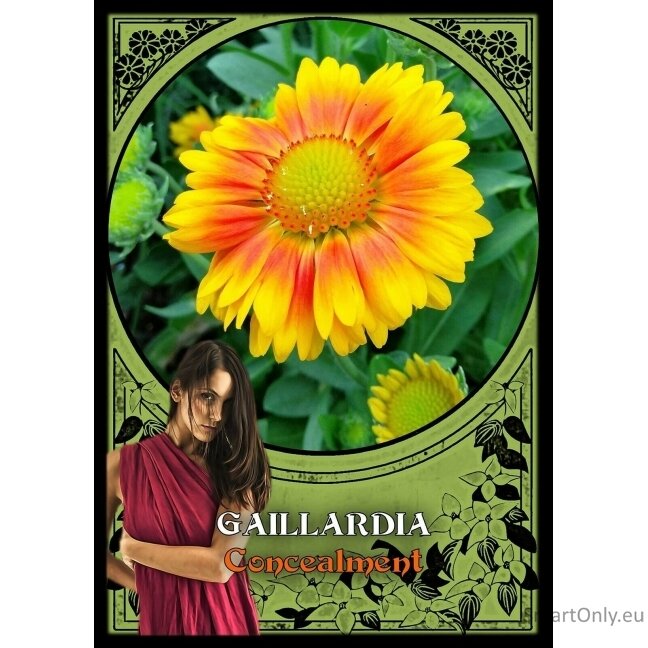 Flower Magic Oracle Kortos Solarus 4 Flower Magic Oracle Kortos Solarus 4
