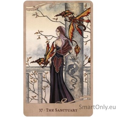 for-the-love-of-dragons-oracle-kortu-ir-knygos-rinkinys-us-games-systems-1