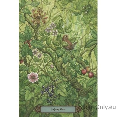 Forest of Enchantment Oracle Kortos Llewellyn