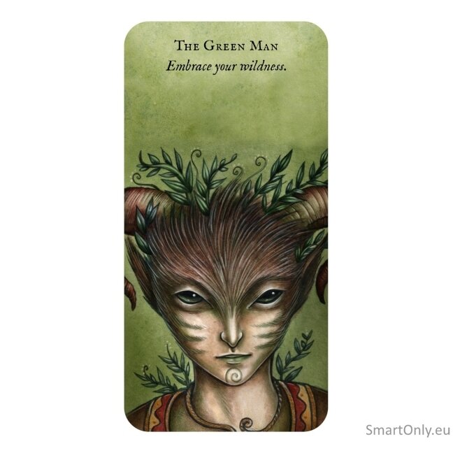 Forest Fae kortos Rockpool 4