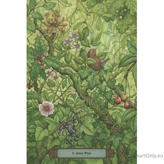 Forest of Enchantment Oracle Kortos Llewellyn 1 Forest of Enchantment Oracle Kortos Llewellyn 1