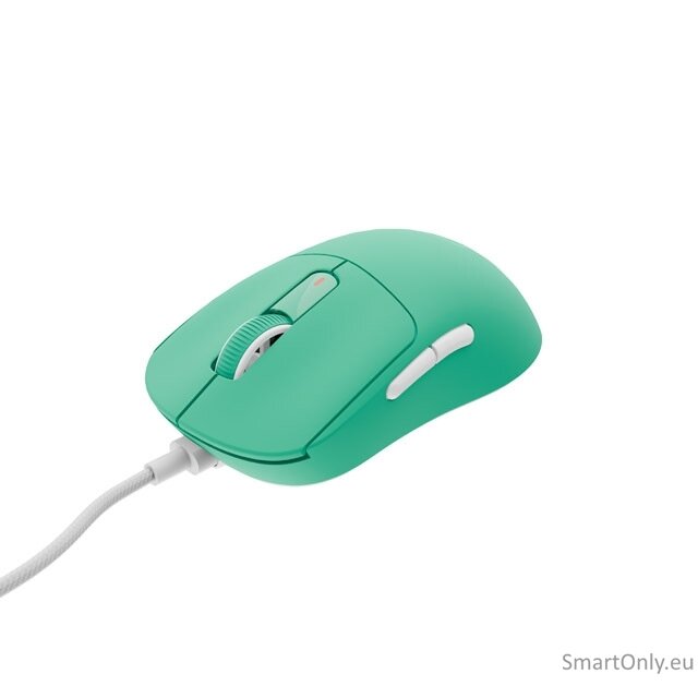 Fury | Gaming Mouse | Tanto T4 | Wired | USB | Mint 2