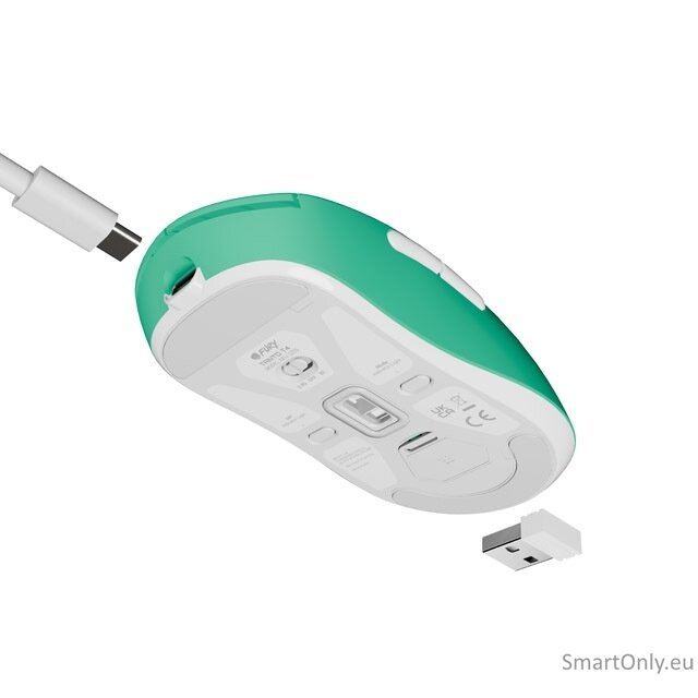 Fury | Gaming Mouse | Tanto T4 | Wired/Wireless | 2.4 GHz, Bluetooth, USB | Mint 3 Fury | Gaming Mouse | Tanto T4 | Wired/Wireless | 2.4 GHz, Bluetooth, USB | Mint 3