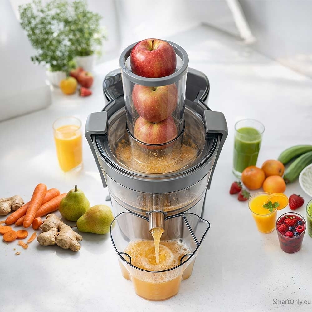 Gastroback Vital Juicer Plus | 40116 | Type Centrifugal juicer | Silver/Black | 800 W | Extra large fruit input | Number of speeds 2 7 Gastroback Vital Juicer Plus | 40116 | Type Centrifugal juicer | Silver/Black | 800 W | Extra large fruit input | Number of speeds 2 7