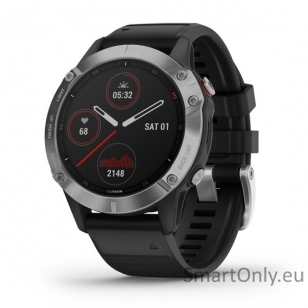 Smartwatch Garmin Fenix 6 Silver