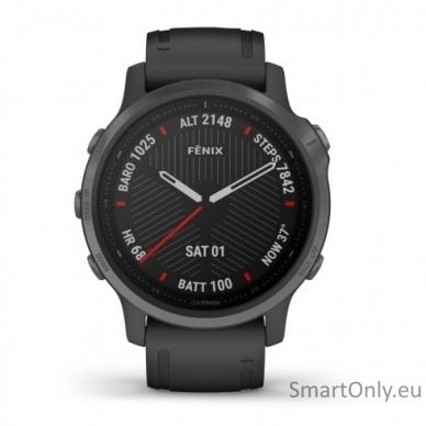Smartwatch Garmin Fenix 6S Saphire Carbon Grey 1