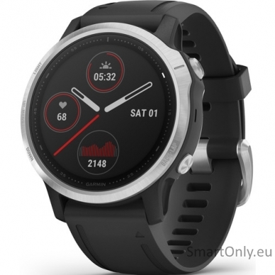 Smartwatch Garmin Fenix 6S Silver Black
