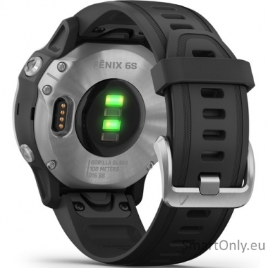 Smartwatch Garmin Fenix 6S Silver Black 5