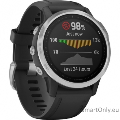 Smartwatch Garmin Fenix 6S Silver Black 2