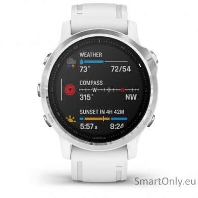 Smartwatch Garmin Fenix 6S Silver White 1