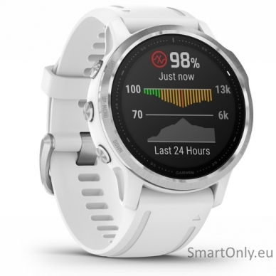 Smartwatch Garmin Fenix 6S Silver White 2