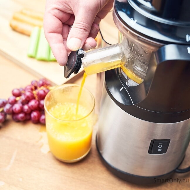 Gastroback Slow Juicer Advanced Vital | 40145 | Type Slow juicer | Stainless steel/Black | 150 W | Number of speeds 1 4