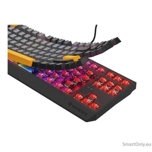 Genesis | THOR 230 TKL | Mechanical Gaming Keyboard | Wired | US | Outemu Red | Anchor Gray Negative 14