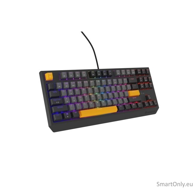 Genesis | THOR 230 TKL | Mechanical Gaming Keyboard | Wired | US | Outemu Red | Anchor Gray Negative 7