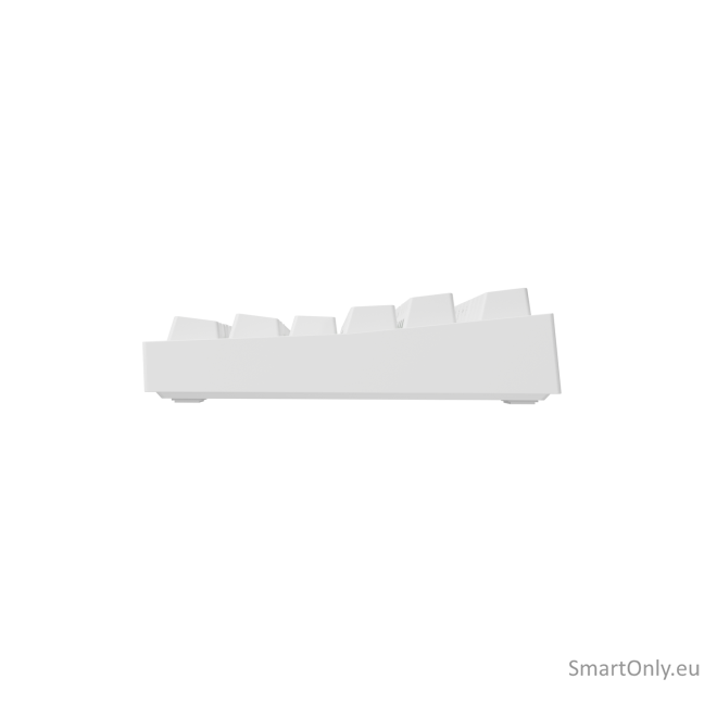 Genesis | THOR 404 TKL | Mechanical Gaming Keyboard | Wired | US | Gateron Yellow Pro | White | RGB 5