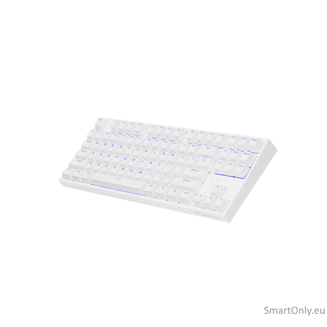 Genesis | THOR 404 TKL | Mechanical Gaming Keyboard | Wired | US | Gateron Yellow Pro | White | RGB 9 Genesis | THOR 404 TKL | Mechanical Gaming Keyboard | Wired | US | Gateron Yellow Pro | White | RGB 9