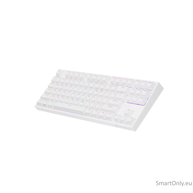 Genesis | THOR 404 TKL | Mechanical Gaming Keyboard | Wired | US | Gateron Yellow Pro | White | RGB 10 Genesis | THOR 404 TKL | Mechanical Gaming Keyboard | Wired | US | Gateron Yellow Pro | White | RGB 10