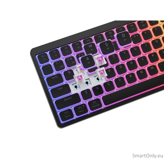 Genesis Thor 430 TKL | Gaming Keyboard | Wireless | Bluetooth | US | Linear | Black 9