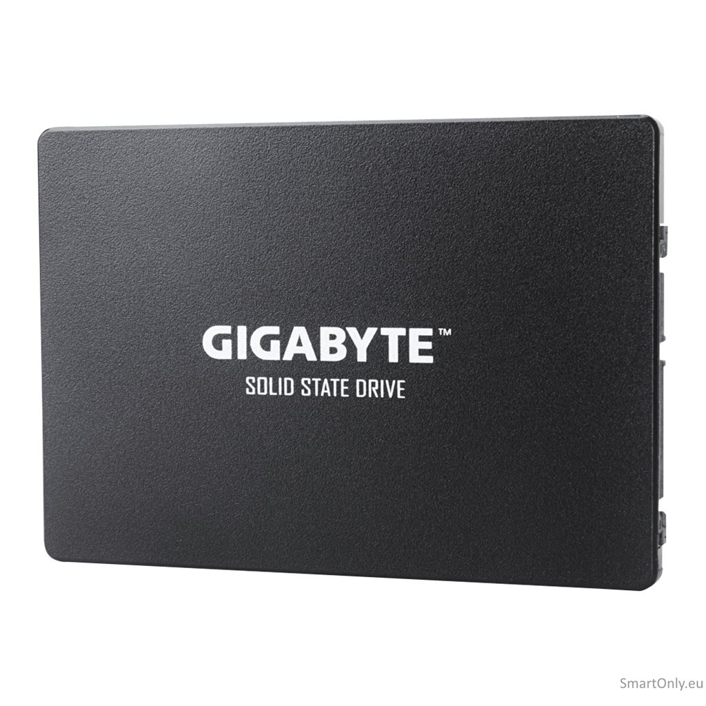 Gigabyte | GP-GSTFS31256GTND | 256 GB | Solid-state drive interface SATA | Read speed 520 MB/s | Write speed 500 MB/s 4