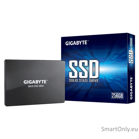 Gigabyte | GP-GSTFS31256GTND | 256 GB | Solid-state drive interface SATA | Read speed 520 MB/s | Write speed 500 MB/s 3