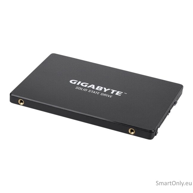 Gigabyte | GP-GSTFS31256GTND | 256 GB | Solid-state drive interface SATA | Read speed 520 MB/s | Write speed 500 MB/s 5