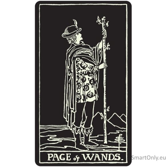 Glow in the Dark Tarot kortos US Games Systems 5