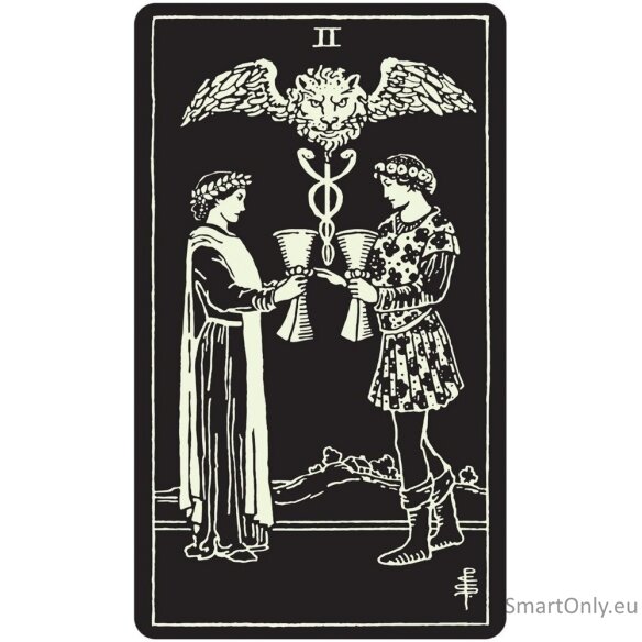 Glow in the Dark Tarot kortos US Games Systems 6 Glow in the Dark Tarot kortos US Games Systems 6