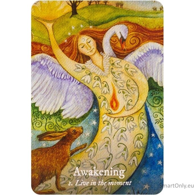 Goddess Love Oracle kortos Rockpool 5 Goddess Love Oracle kortos Rockpool 5