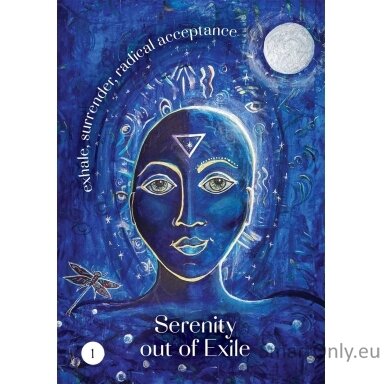 Guides of the Hidden Realms Oracle cards Hay House