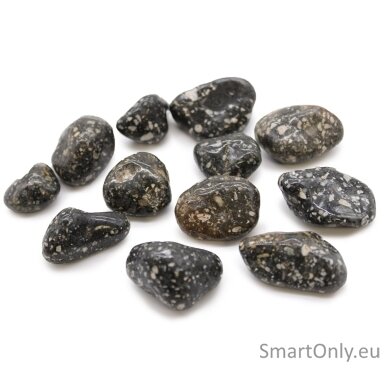 guinea-fowl-akmuo-12-vnt-m-dydzio-ancient-wisdom