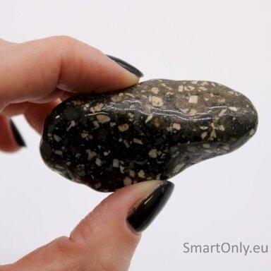guinea-fowl-large-6-vnt-l-dydzio-ancient-wisdom-1