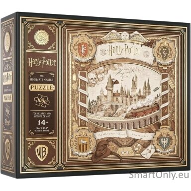 harry-potter-delione-1000-detaliu-theory11