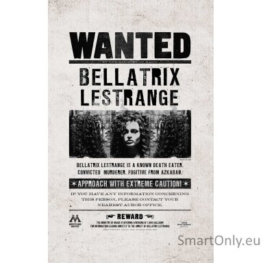 Harry Potter: Ieškomųjų plakatų ir kišeninių knygelių kolekcija (rinkinys iš 3 dalių)  Insight Editions