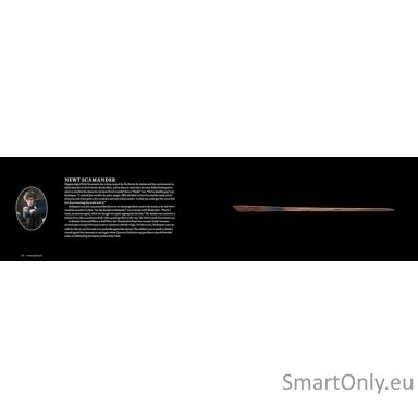 harry-potter-ir-fantastiniai-gyvunai-the-wands-of-the-wizarding-world-insight-editions-1