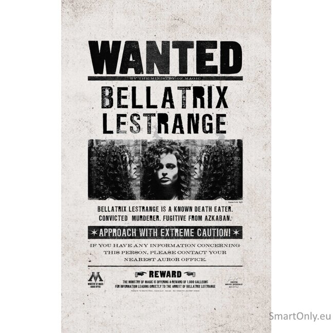 Harry Potter: Ieškomųjų plakatų ir kišeninių knygelių kolekcija (rinkinys iš 3 dalių)  Insight Editions 1