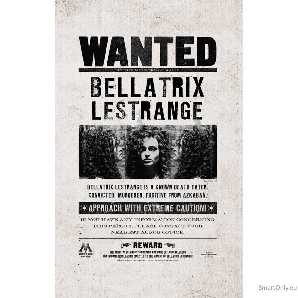 Harry Potter: Ieškomųjų plakatų ir kišeninių knygelių kolekcija (rinkinys iš 3 dalių)  Insight Editions 1