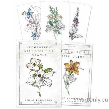 hedgewitch-botanical-oracle-kortos-llewellyn