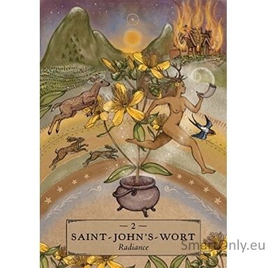 Herbal Astrology Oracle kortos Hay House