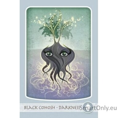 herbal-healing-deck-taro-kortos-schiffer-publishing-1