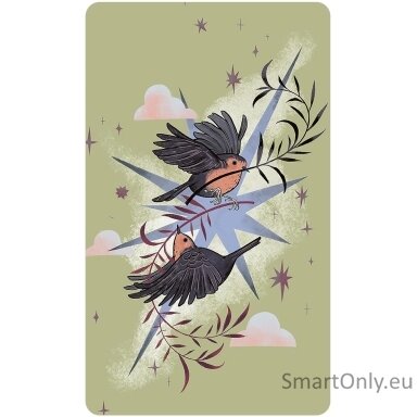 Herbana Witch Oracle kortos US Games Systems