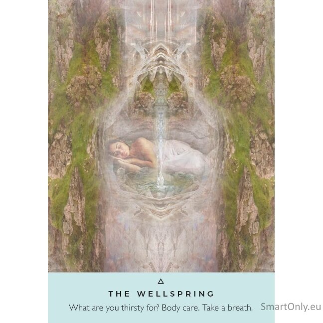 Healing Waters Oracle kortos Hay House 5