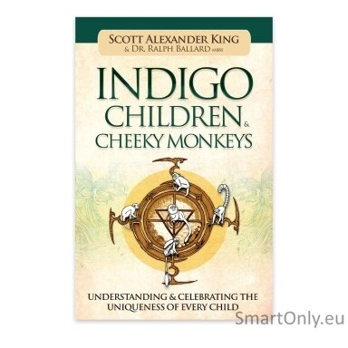 Indigo Children & Cheeky Monkeys: Understanding & Celebrating the Uniqueness of Every Child  knyga Blue Angel